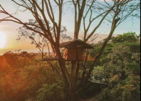 Oceanview Jungle tree house